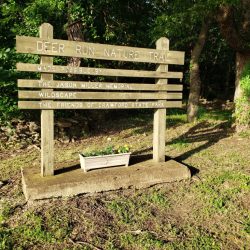Deer Run Nature Trail