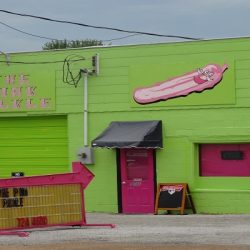 The Pink Pickle
