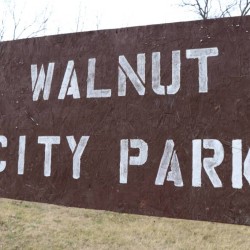 Walnut City Park