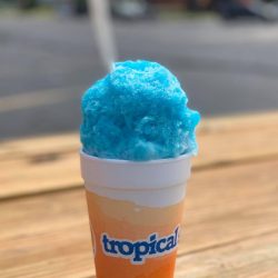 Dave's Tropical Sno