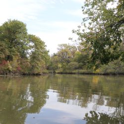 MLWA Unit 1 (Fishing Lake)