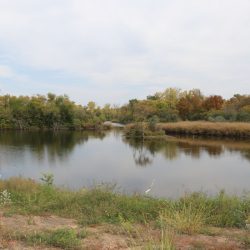 MLWA Units 5 & 6 (Quail Farm)