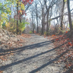 Wilderness Park