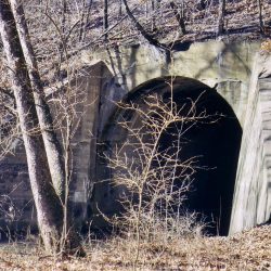 Spider Leg Bridge Trail